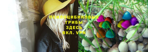 круглые Армянск