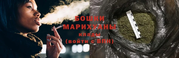 шишки Арсеньев