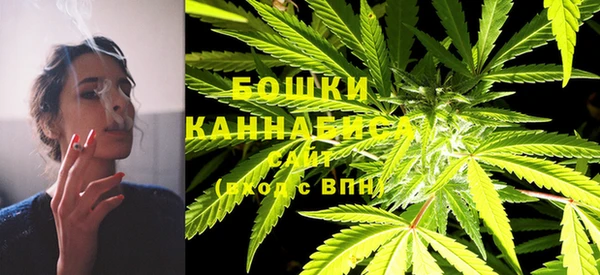 шишки Арсеньев